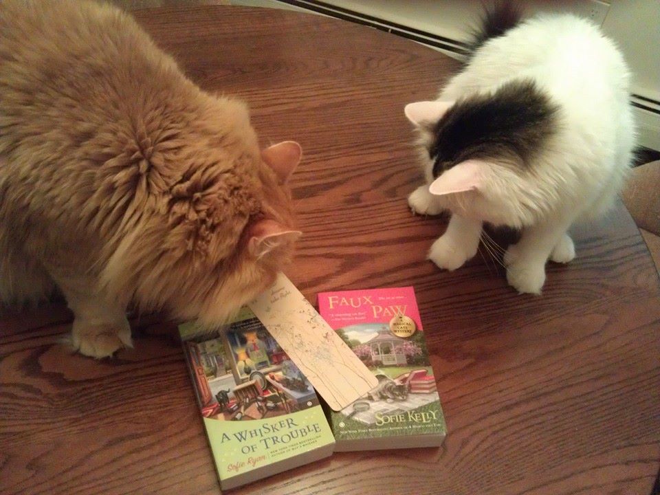 cats and books